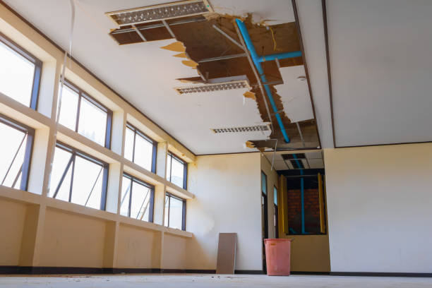 Best Basement water damage restoration  in Shaker Heights, OH