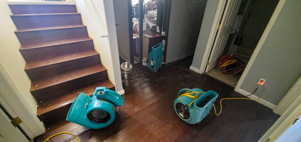 Best Sewage cleanup and water damage restoration  in Shaker Heights, OH