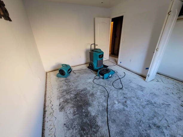 Best Water damage restoration near me  in Shaker Heights, OH