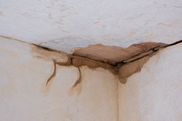 Best Residential water damage restoration  in Shaker Heights, OH