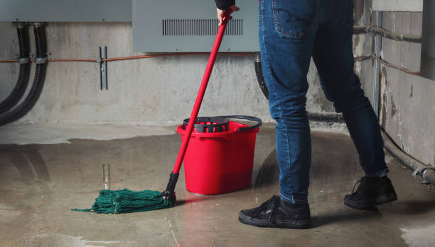 Best Local water damage restoration  in Shaker Heights, OH