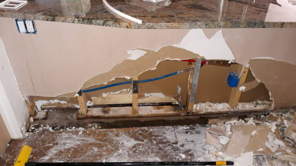 Best Ceiling water damage repair  in Shaker Heights, OH