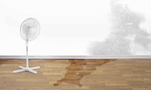 Best Residential water damage restoration  in Shaker Heights, OH