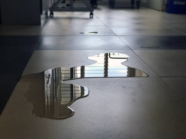 Best 24-hour water damage restoration  in Shaker Heights, OH
