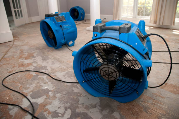 Best Sewage cleanup and water damage restoration  in Shaker Heights, OH