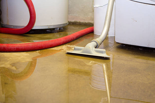 Best Water damage restoration near me  in Shaker Heights, OH