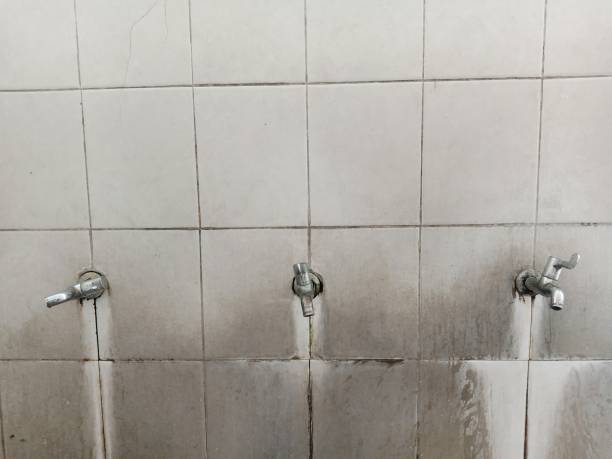 Best Water damage restoration near me  in Shaker Heights, OH