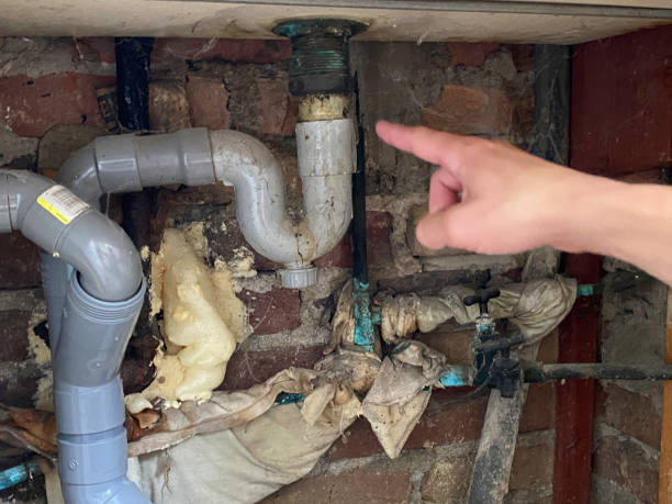 Best Fire Damage Restoration  in Shaker Heights, OH