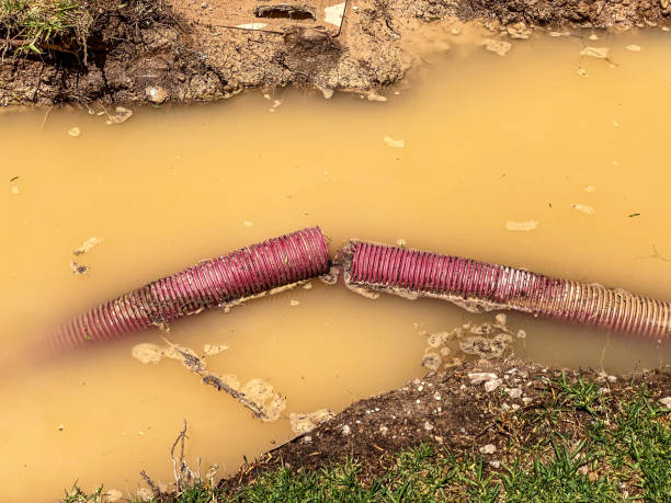 Best Sewage cleanup and water damage restoration  in Shaker Heights, OH