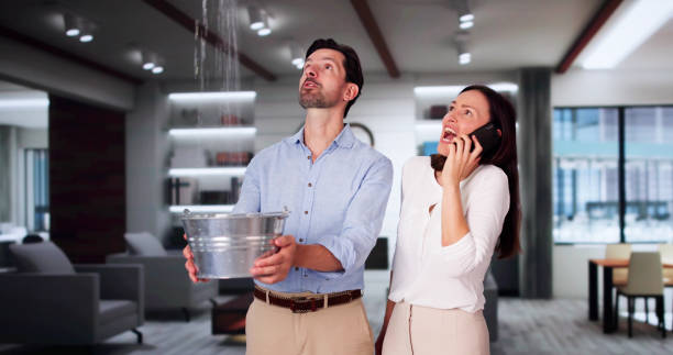 Best 24-hour water damage restoration  in Shaker Heights, OH