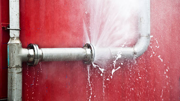 Best Water damage restoration process  in Shaker Heights, OH