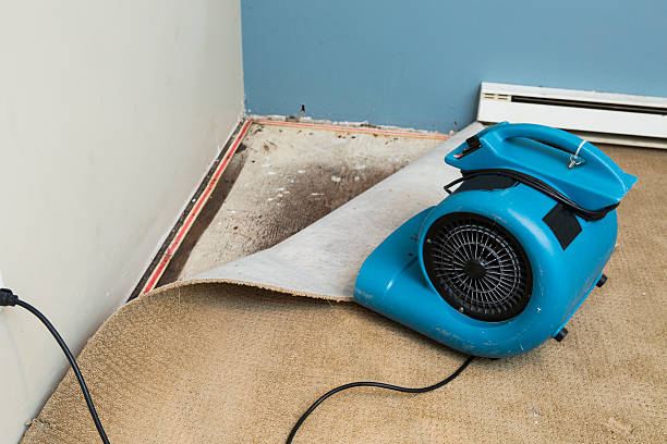 Best 24/7 water damage repair  in Shaker Heights, OH