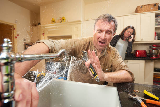 Best Carpet water damage restoration  in Shaker Heights, OH